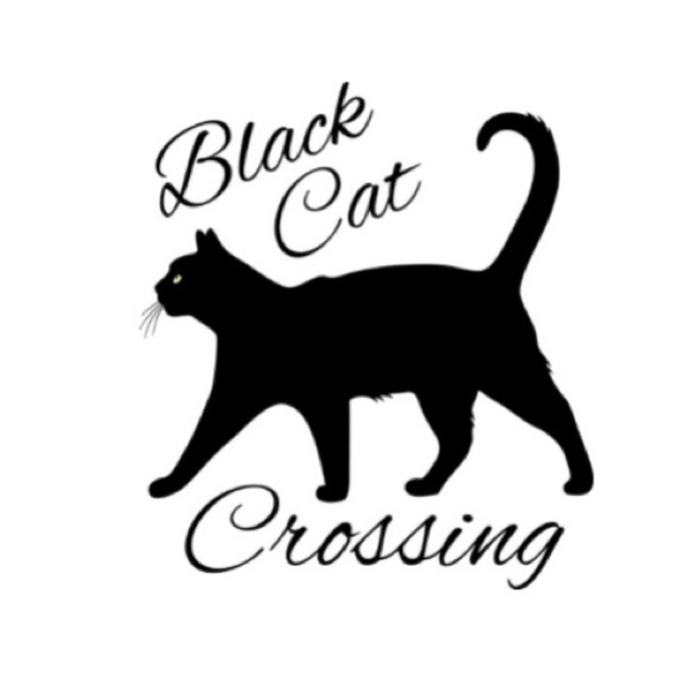 Black cat - Picture 1 of 1